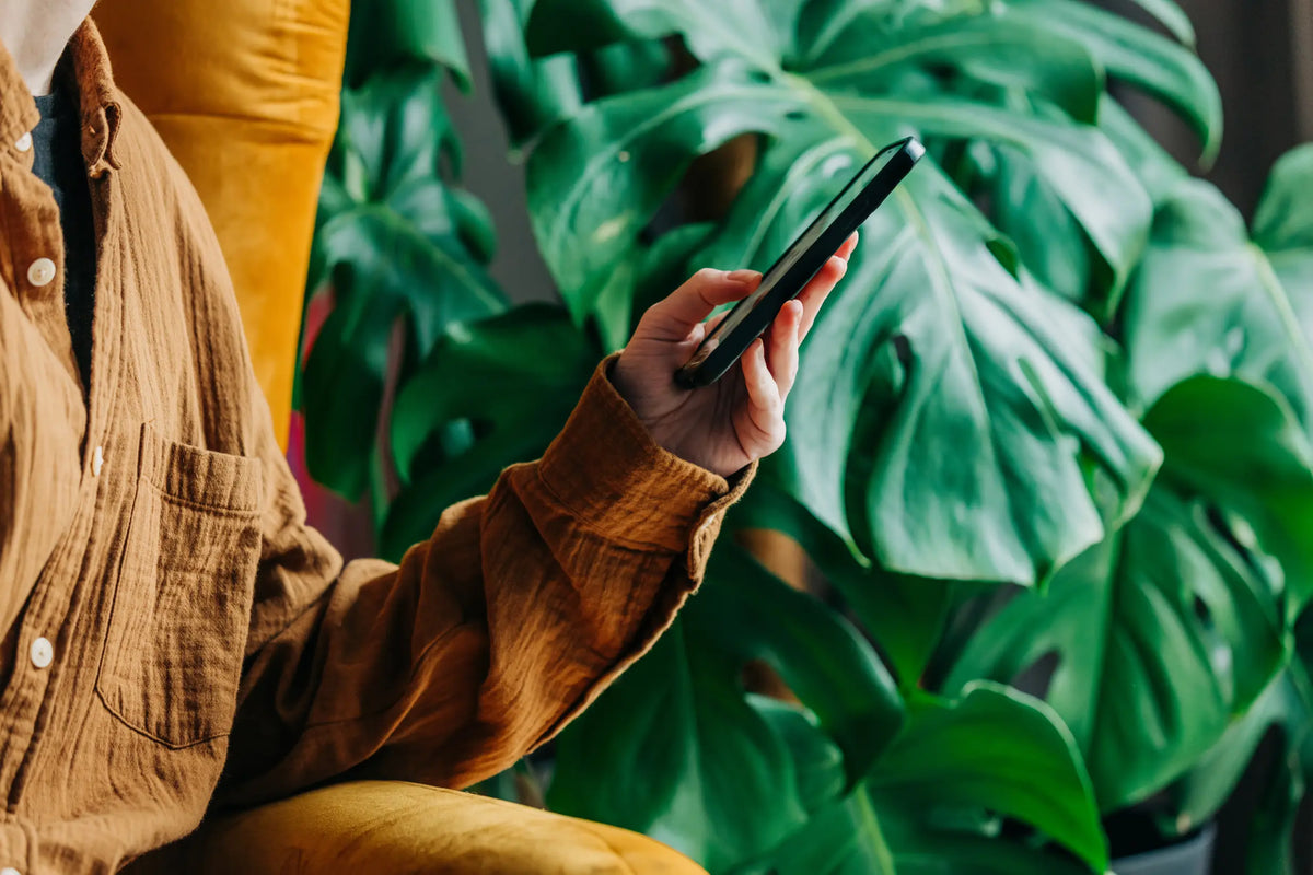 How to Choose the Right Pre-Owned iPhone for Your Budget